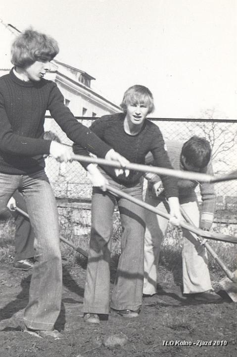 52 Prace na posesji.jpg